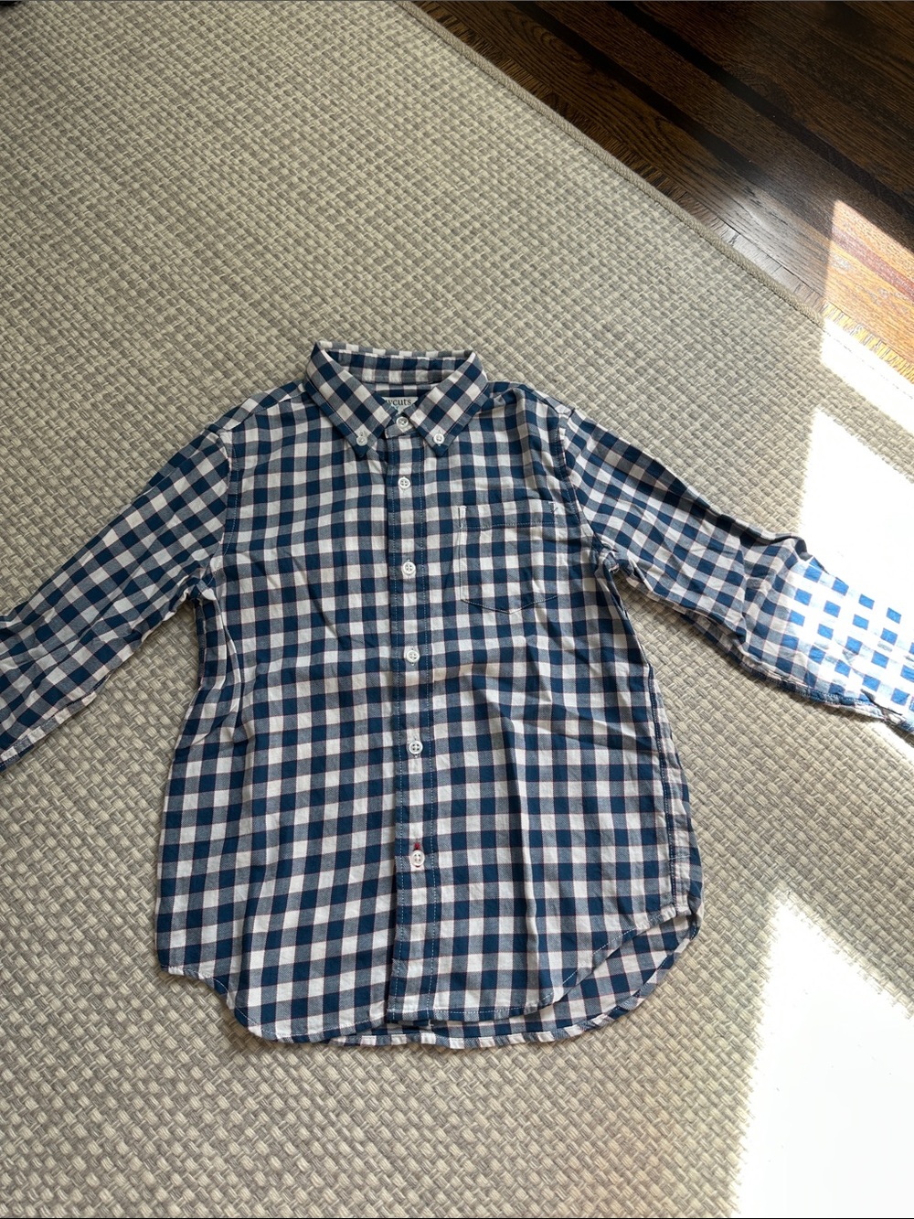 J. Crew Blue and White Gingham Button-Down Shirt